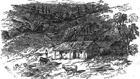 A drawing of a log cabin with a man out front and 2 cows